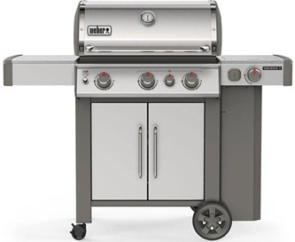 Weber 61006001