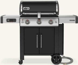 Weber 66015601